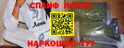 прущие грибы Заводоуковск