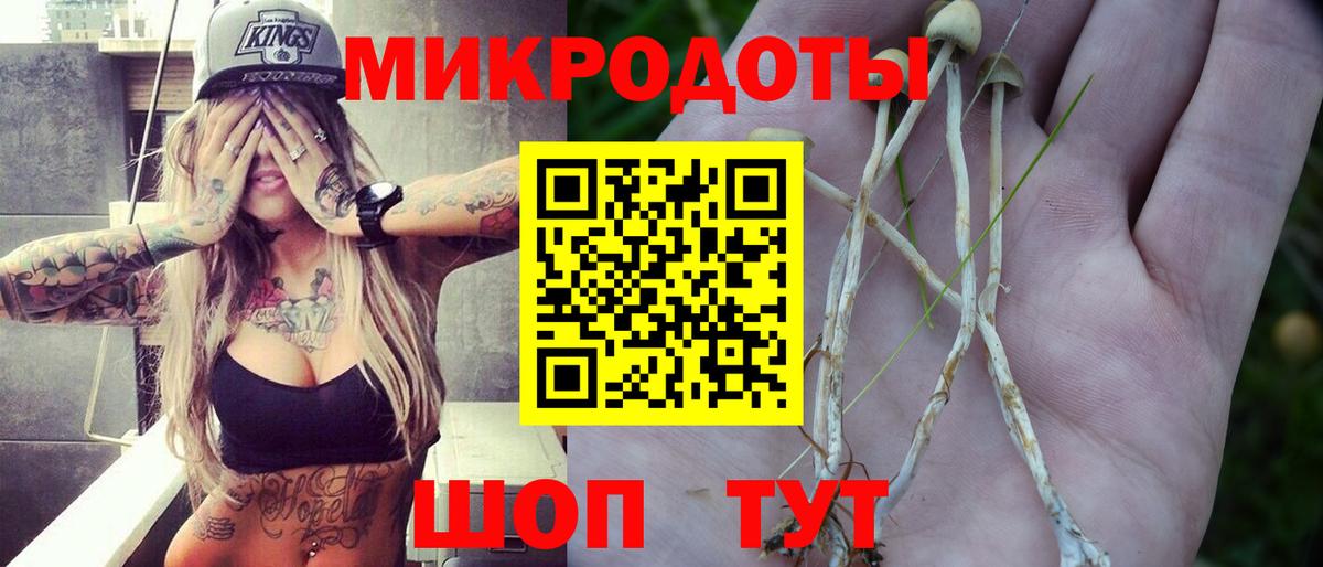 Псилоцибиновые грибы MAGIC MUSHROOMS  Вход с VPN  купить наркотик  Миасс 